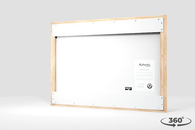 360 view of the product