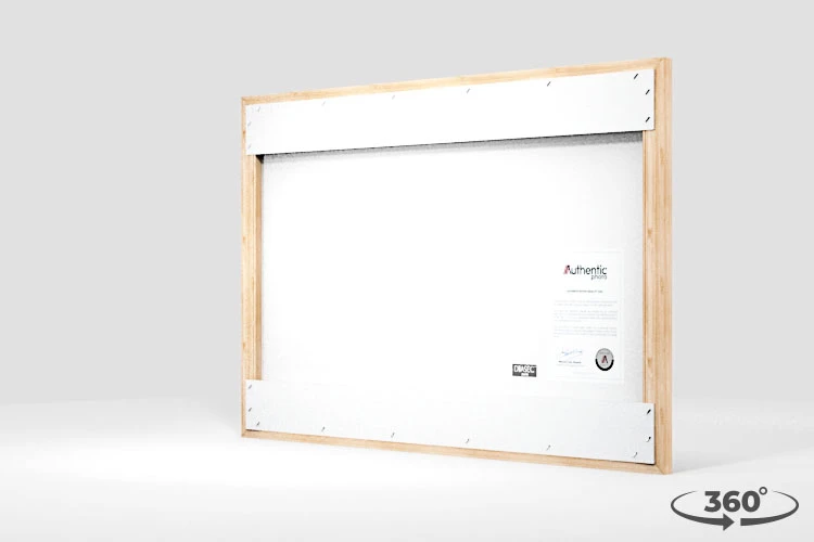 360 view of the product