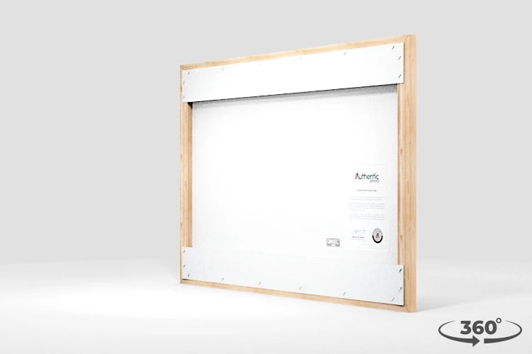 360 view of the product