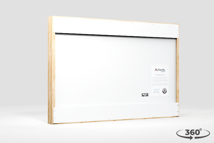 360 view of the product