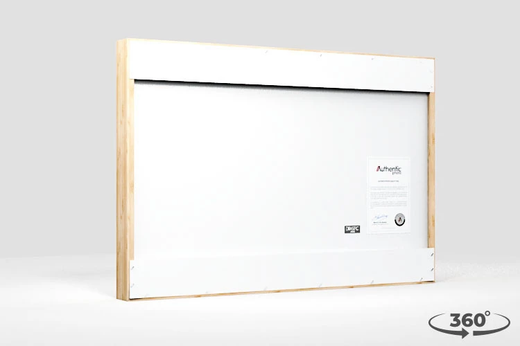 360 view of the product