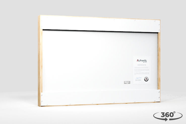 360 view of the product