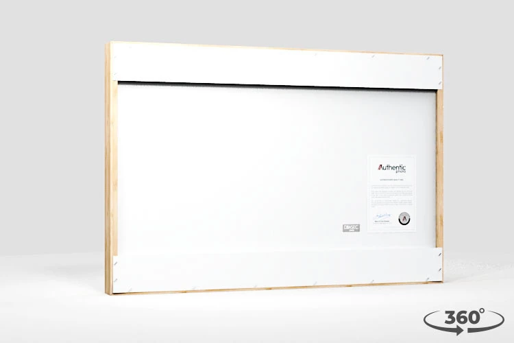 360 view of the product