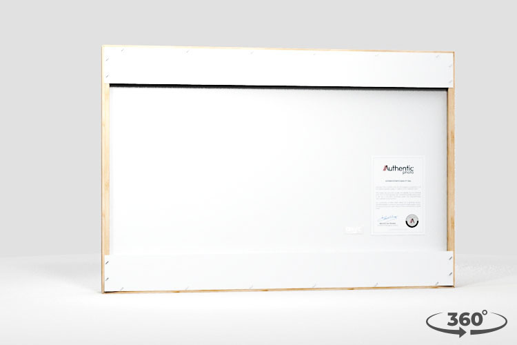 360 view of the product