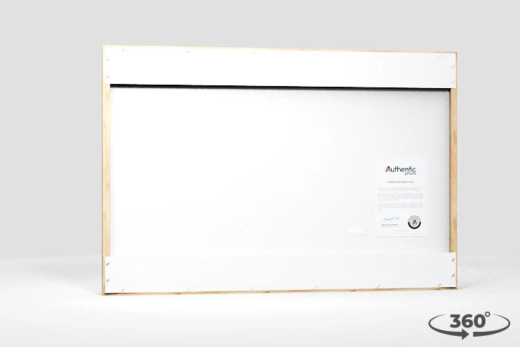 360 view of the product