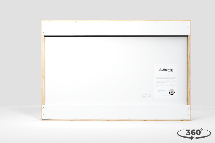 360 view of the product