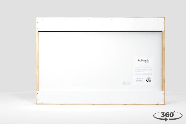 360 view of the product