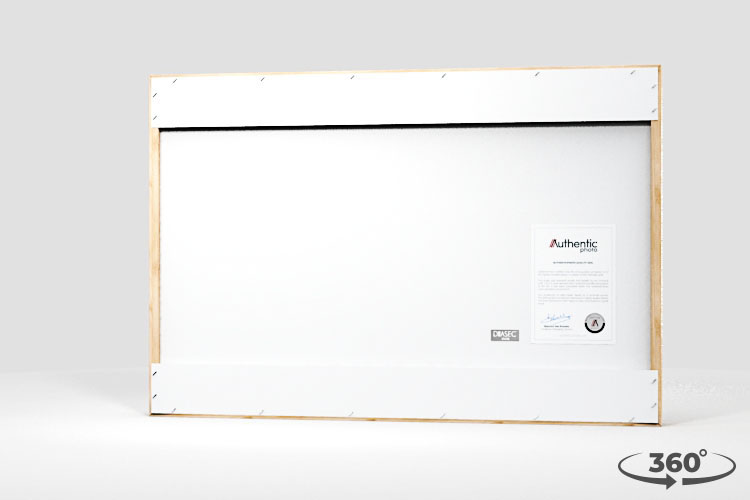 360 view of the product