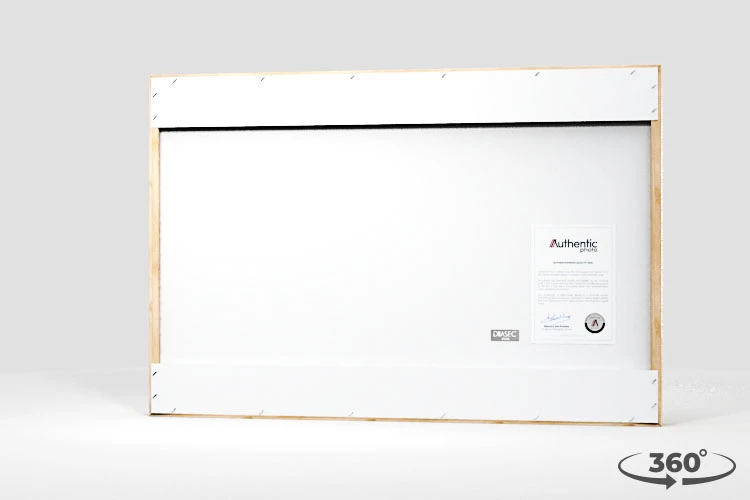 360 view of the product