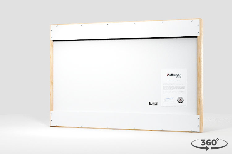 360 view of the product