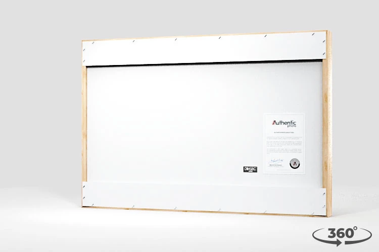 360 view of the product