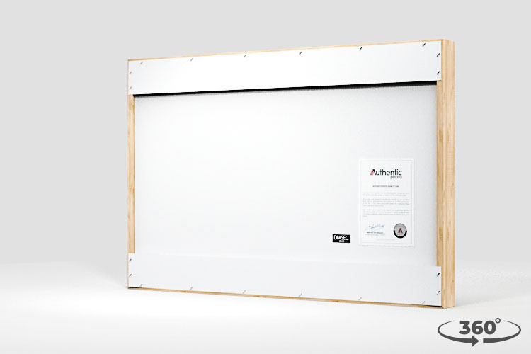 360 view of the product