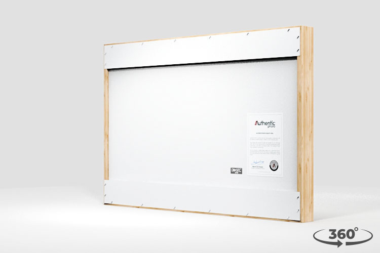 360 view of the product