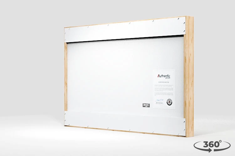 360 view of the product