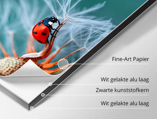 Detail van een afdruk op Fine-Art Canson Baryta Photo II Mat papier gemonteerd op een Dibond plaat.