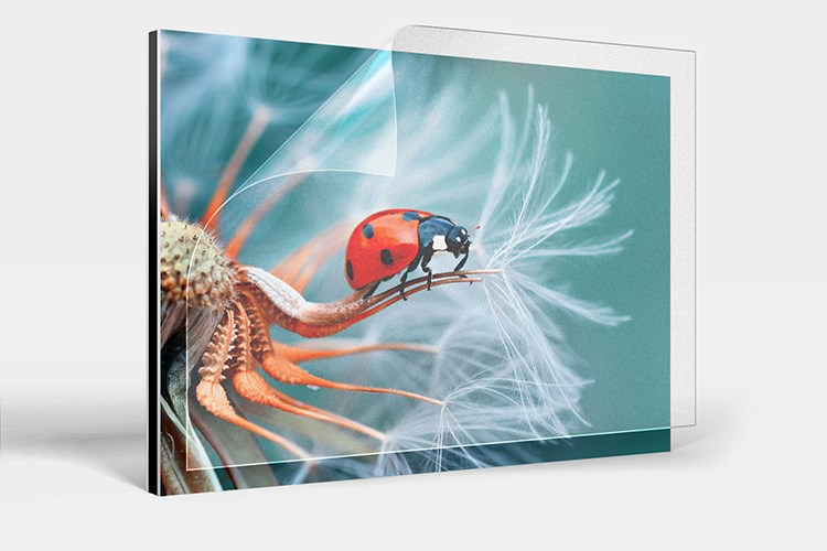 A photographic print on Fine-Art Canson Baryta Photo II Matt paper with protective film.