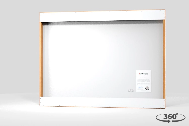 360 view of the product