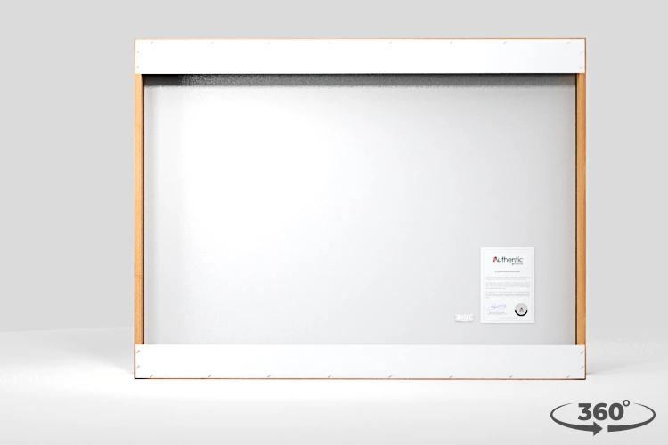 360 view of the product