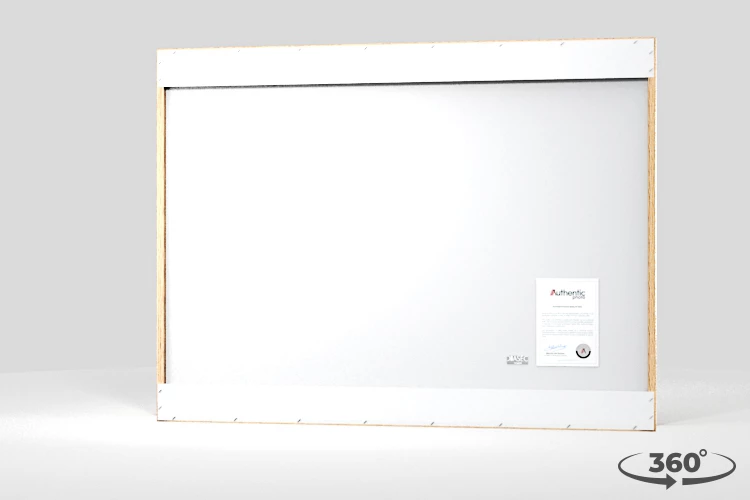 360 view of the product