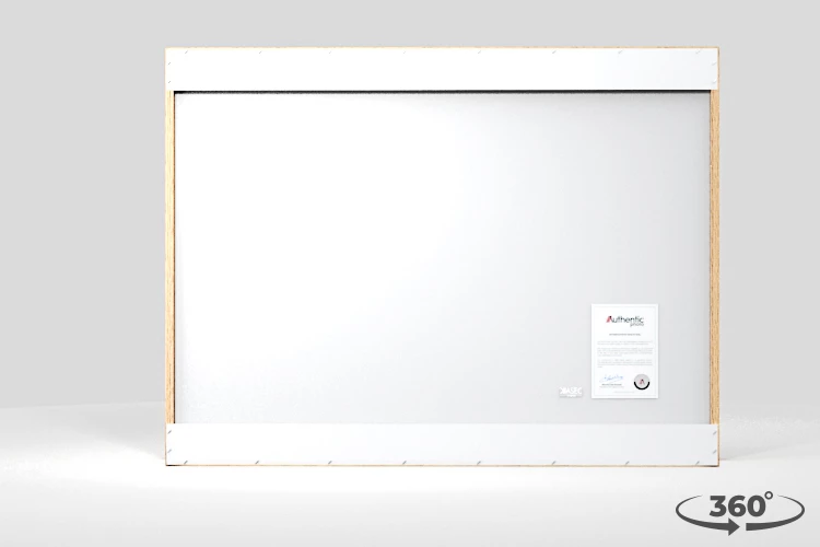 360 view of the product