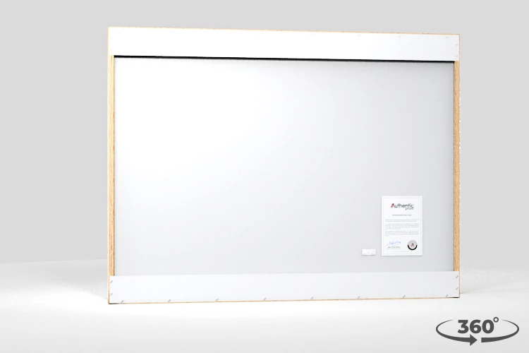 360 view of the product