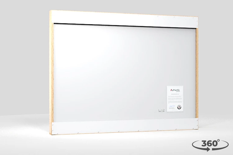 360 view of the product