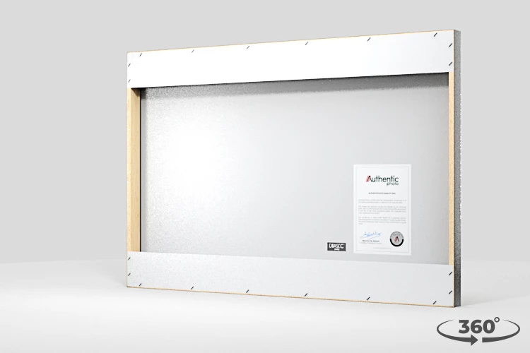 360 view of the product