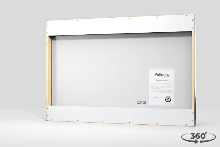 360 view of the product