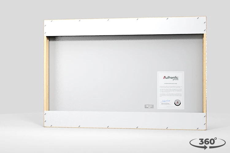 360 view of the product