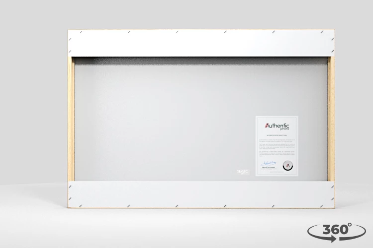 360 view of the product