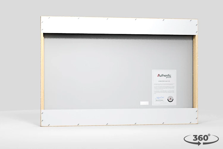 360 view of the product