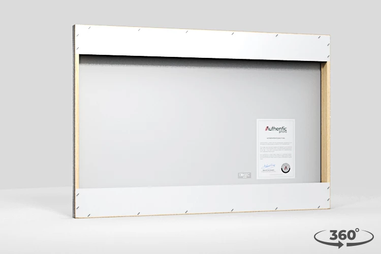 360 view of the product