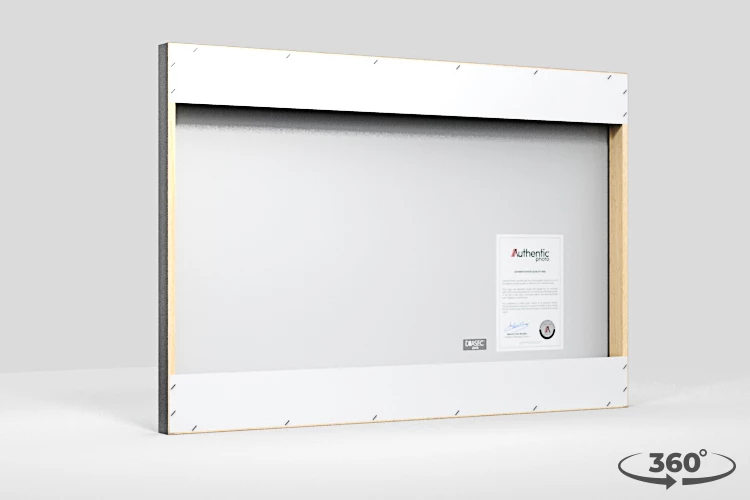 360 view of the product