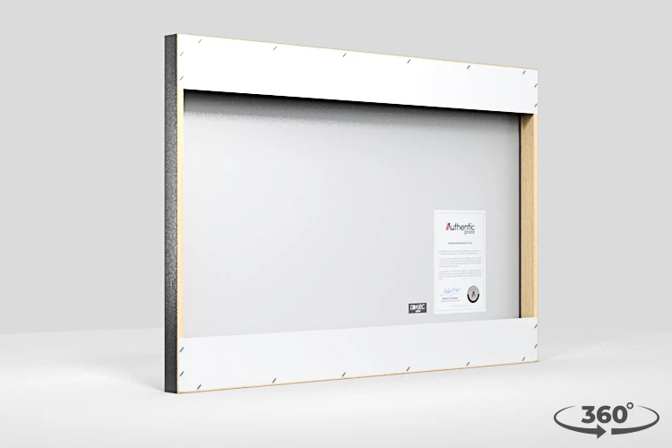 360 view of the product