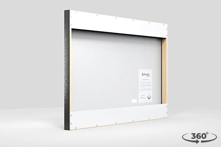 360 view of the product