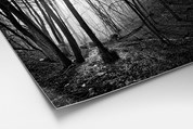 Fine-Art Canson Arches BFK Rives Pure White Papier geschikt voor Zwart-Wit