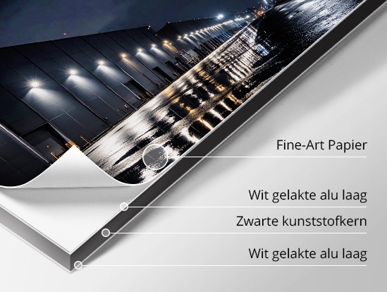 Detail van een afdruk op Fine-Art Canson Arches BFK Rives "Pure White" papier gemonteerd op een Dibond plaat.