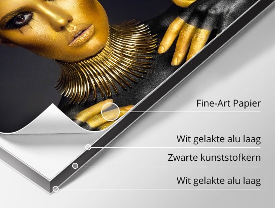 Detail van een afdruk op Foto Glanzend Papier gekleefd op Dibond.